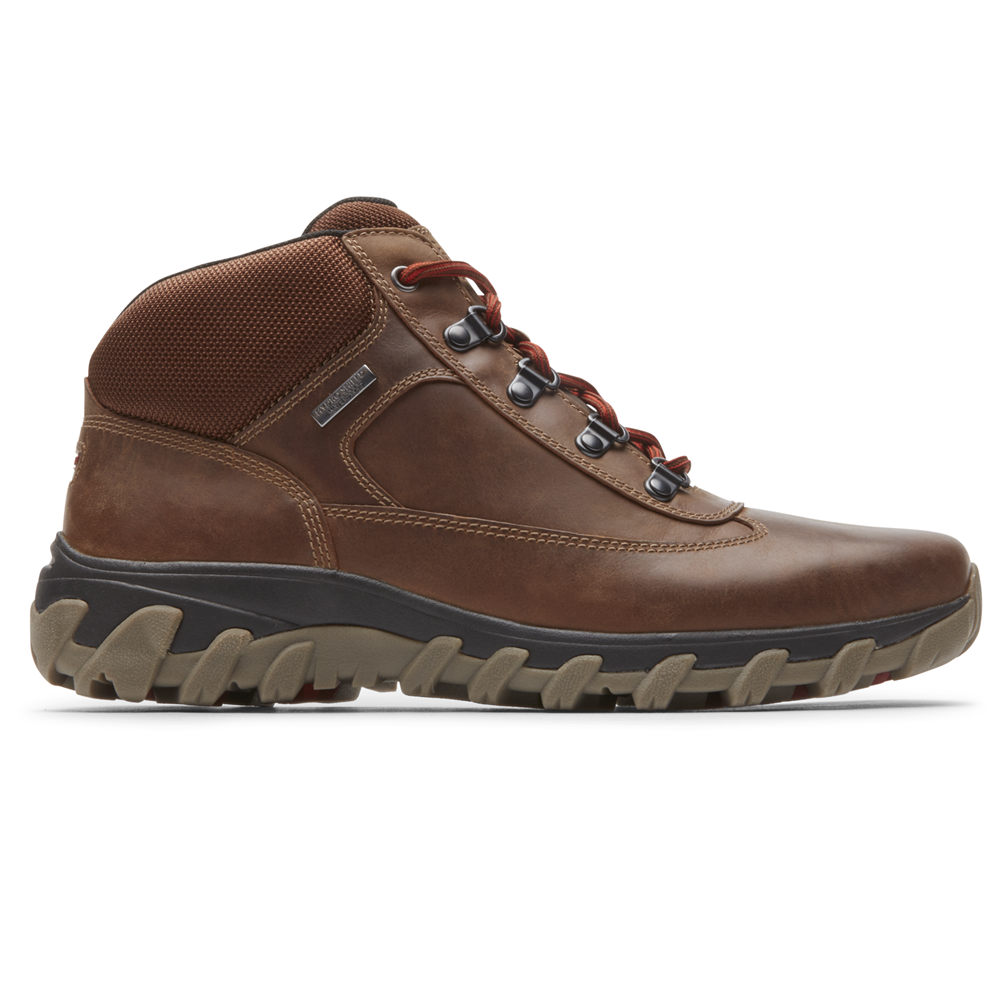 Botas Rockport Hombre Mexico - Cold Springs Plus Waterproof Chukka Marrom - DYCRJ1923